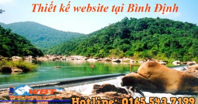 Thiết kế website tại Bình Định