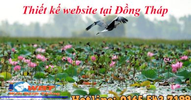 Thiết kế website tại Đồng Tháp