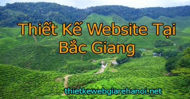 Thiết Kế Website tại Bắc Giang