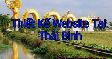 Thiết Kế Website tại Thái Bình
