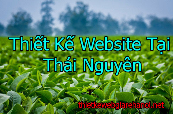 Thiết Kế Website Tại Thái Nguyên