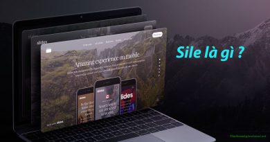 side website là gì?